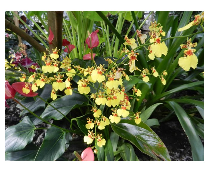 DSCN1142